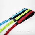 Nylon Pet Dog Bungee Leash con gancio a scatto